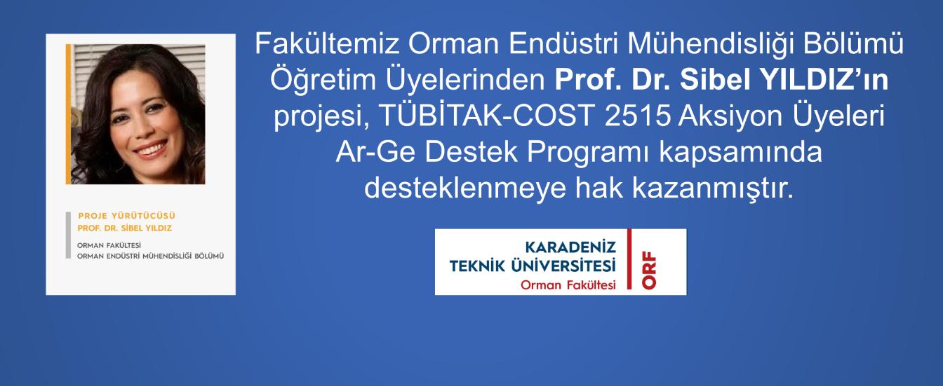 Prof. Dr. Sibel YILDIZ proje desteği