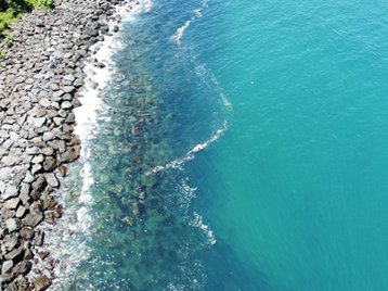 Akademisyenimiz Prof. Dr. Ali Muzaffer FEYZİOĞLU, Karadenizdeki Kirlilikte Müsilaj Endişesi Konusunda Açıklamalarda Bulundu