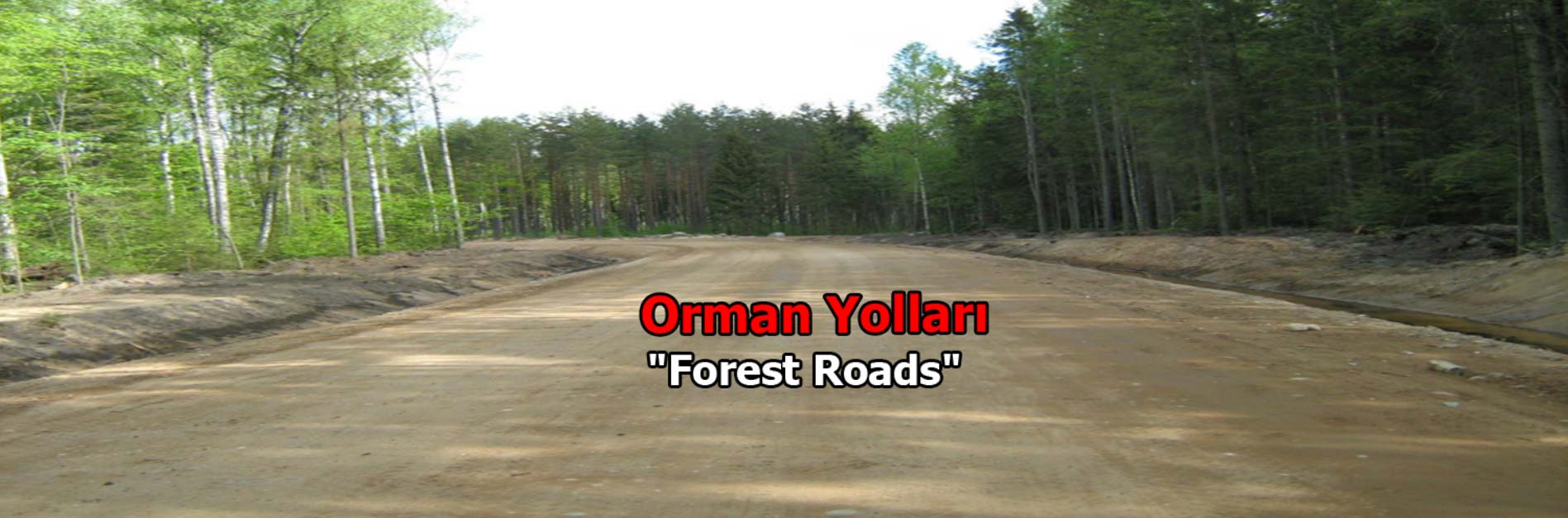 Orman Yolları