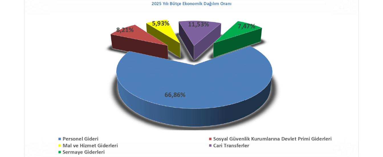 2025 Yılı Bütçe Ekonomik Dağılım Oranı